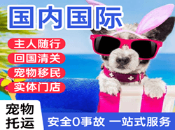 大水泊空运国际宠物托运 【国